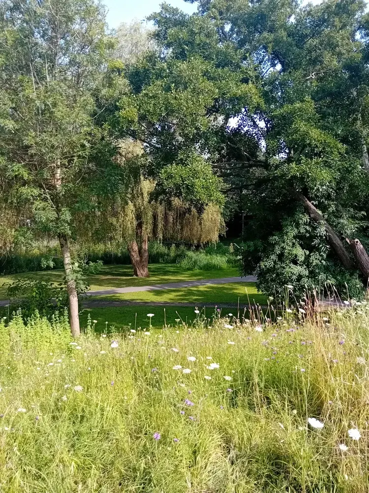 Climate Change: Help Shape a More Resilient West Sussex