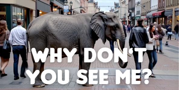 Turning Tides - Elephant in the Room Appeal